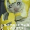 白阳挤你胎没小铺