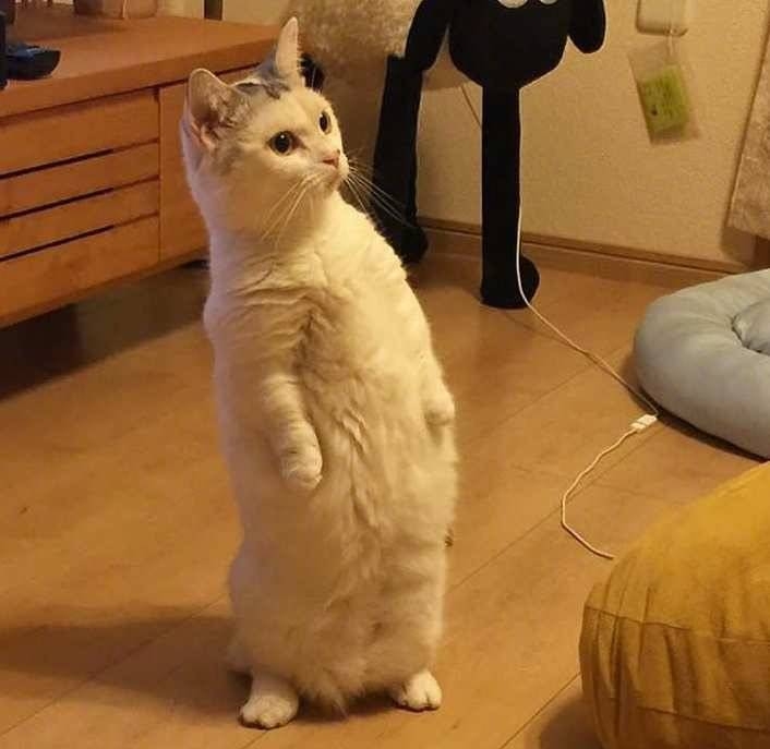 中奖啊啊啊