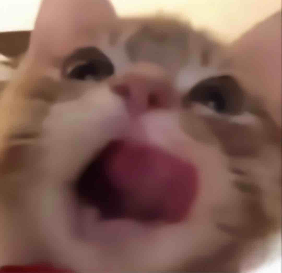 O_oo_O