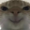玩家790025724895055872
