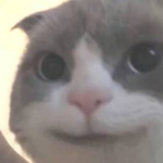 84861407320233114