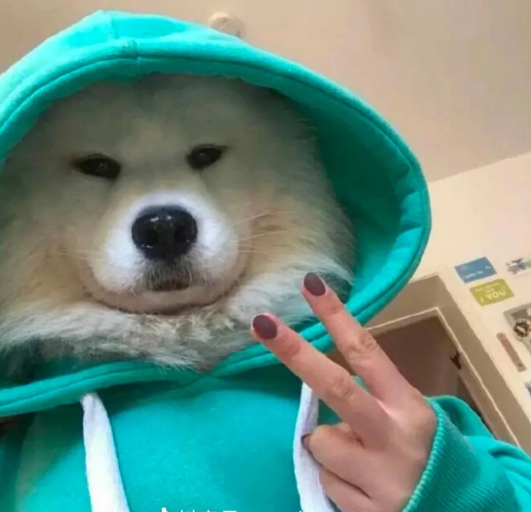 井底之蛙