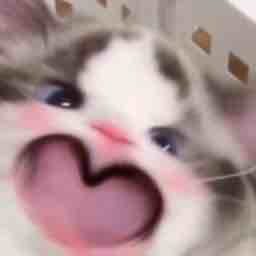OWOK1ng