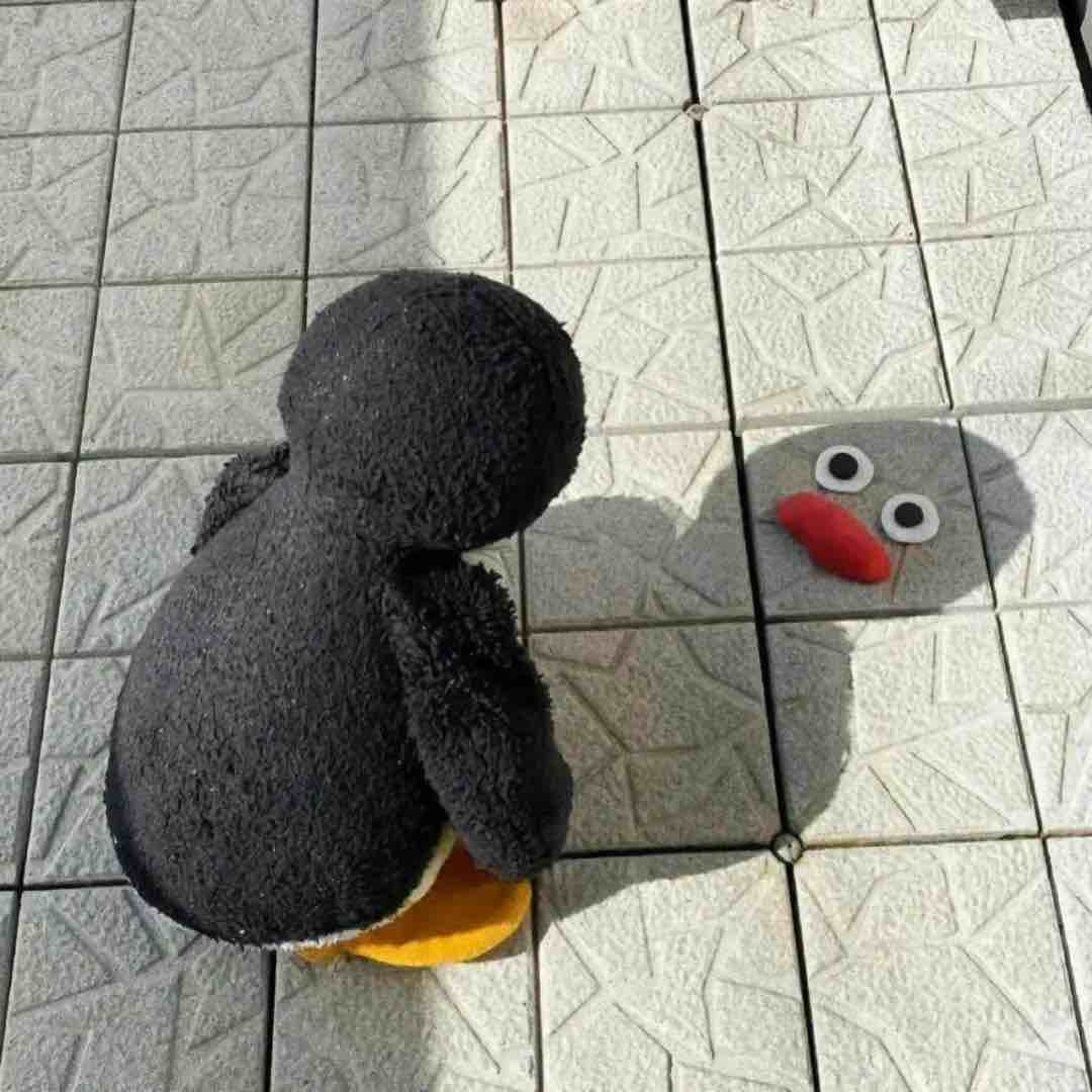 余枫haha