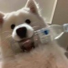 玩家1116170640078716928