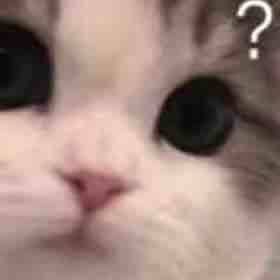 李盛乐天天开心