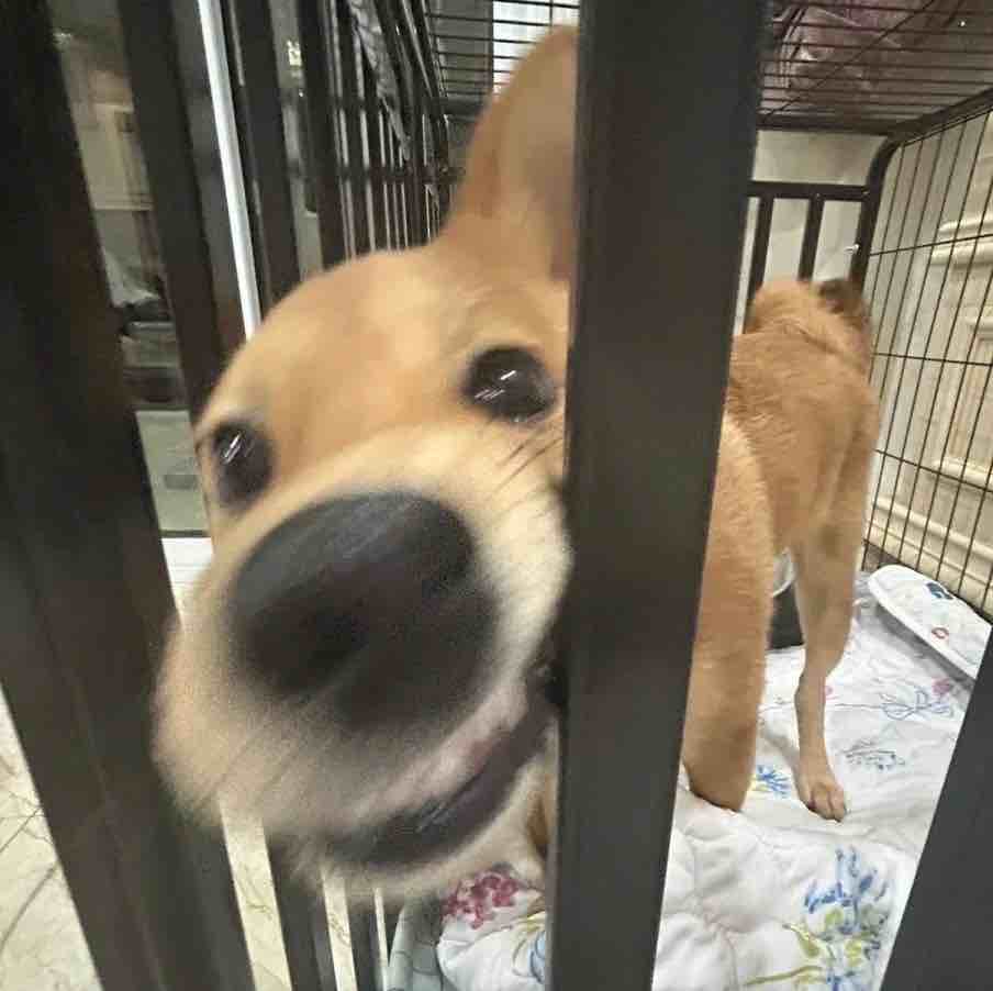 玩家1117732731247316992