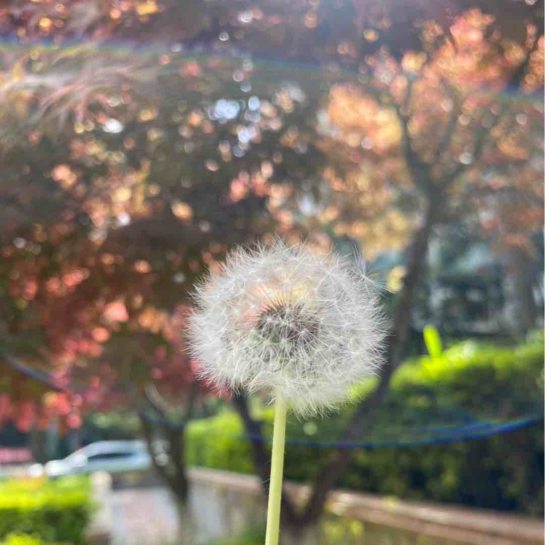 便宜好货