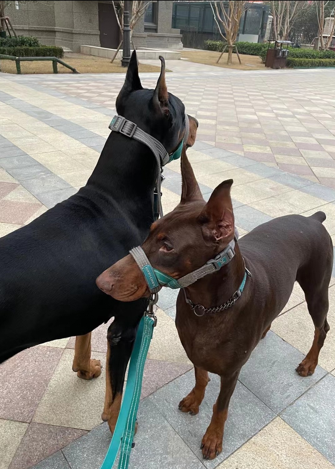 小高很哇塞