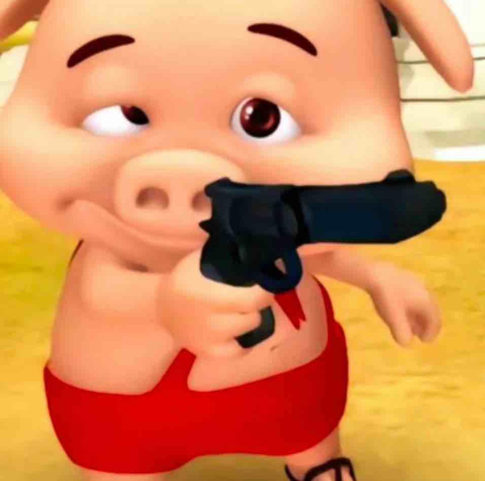 小呆呆自用枪皮