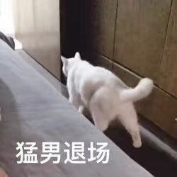 求购丢我秒收