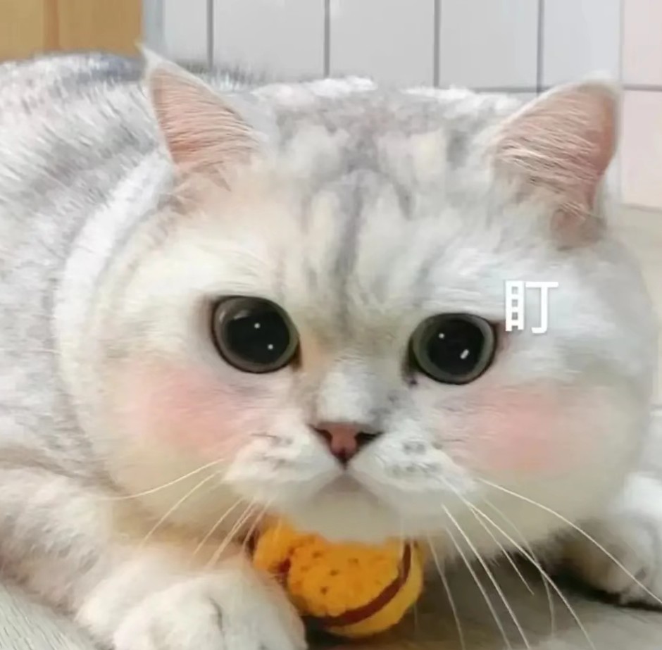 啊槑槑槑