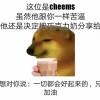 玩家1141321971319963648