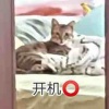 阿宁秒发店