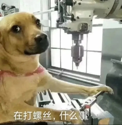 短租美丽进店看看