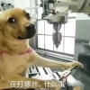 短租美丽进店看看