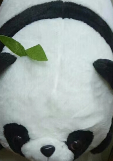 玩家1163202460909977600