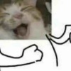 zombiecat