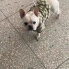 张张张铁门