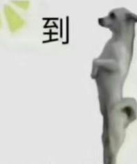 玩家780510428819771392