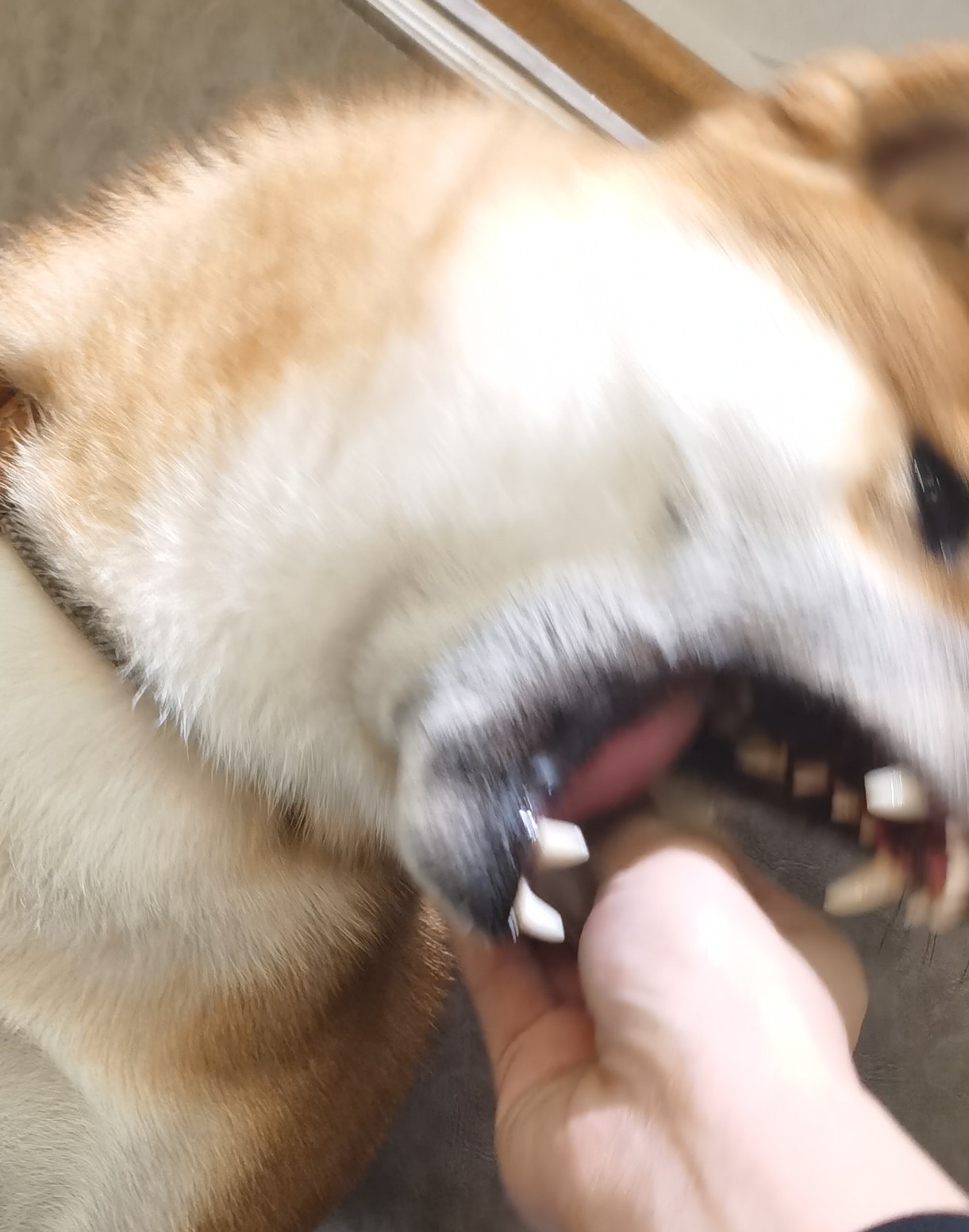 我是你叠