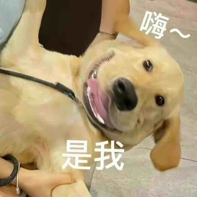 玩家1201163657424478208