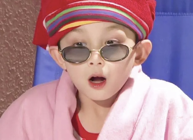 料青山见我应如是