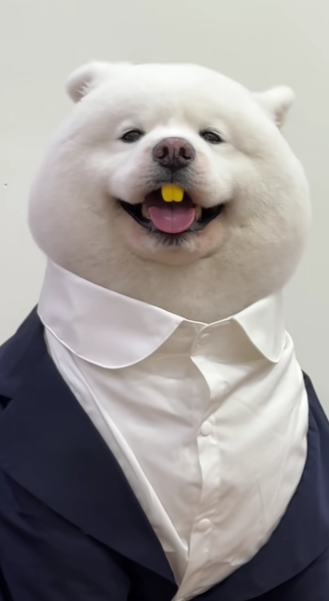 找靓品ying