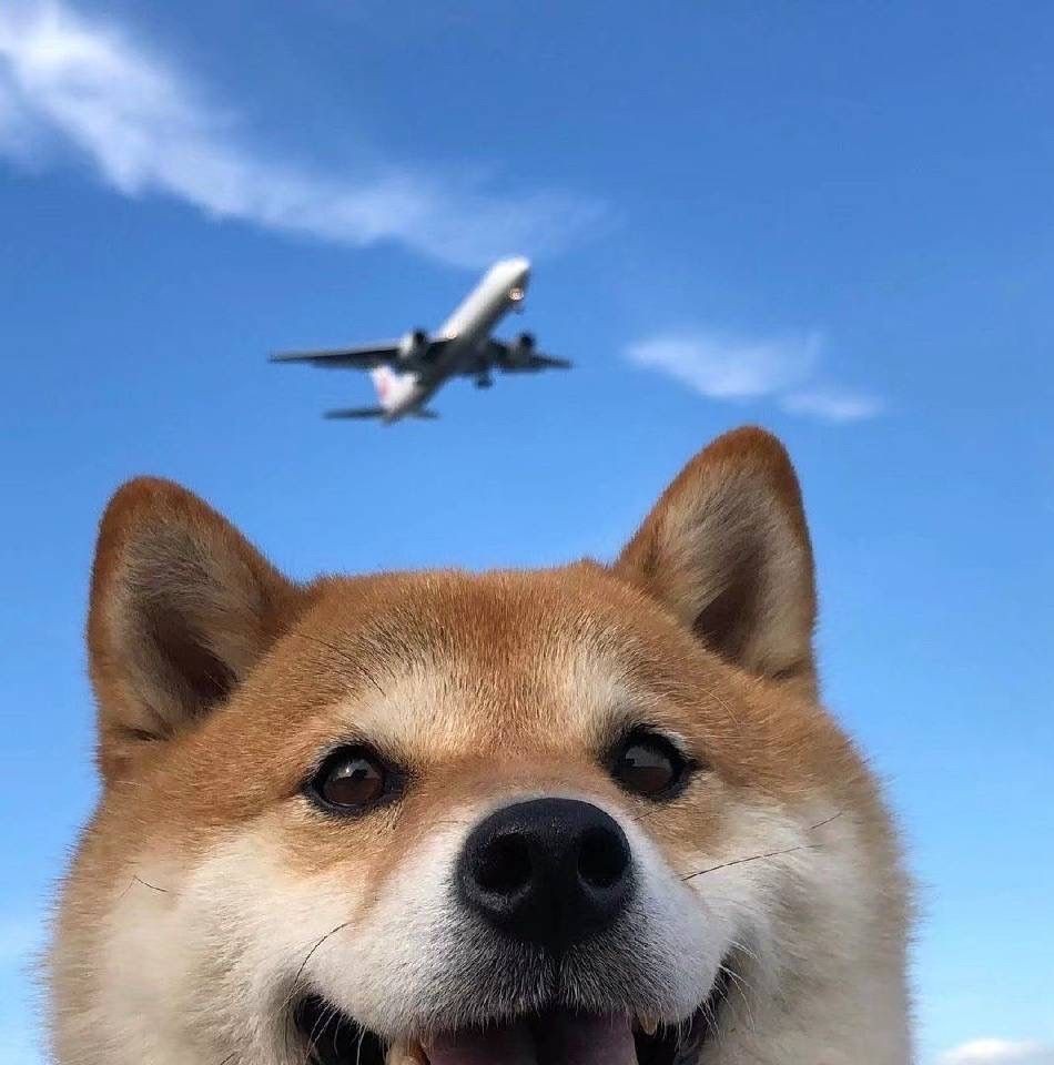 一张就能中