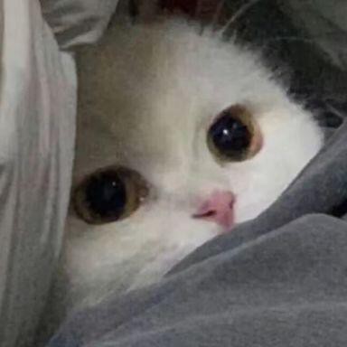 玩家1246023794093916160