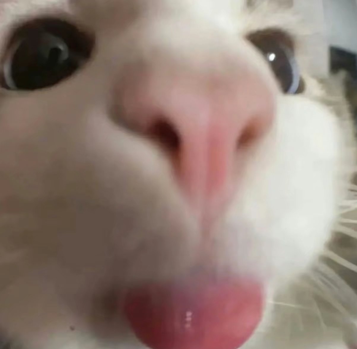 诚信买卖