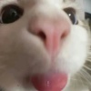 诚信买卖