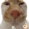 欧气大爆发发发发