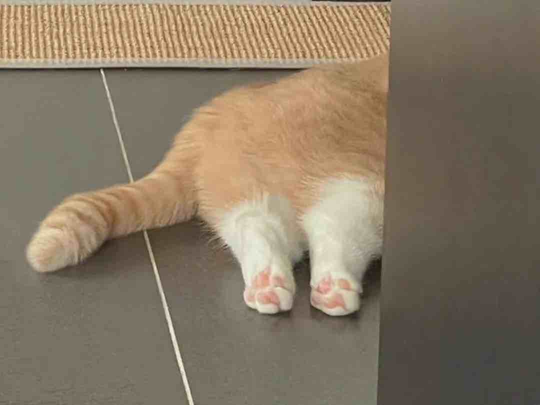 快手柒奕