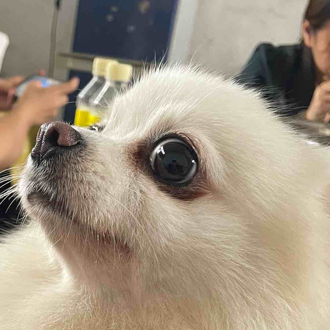下单秒发