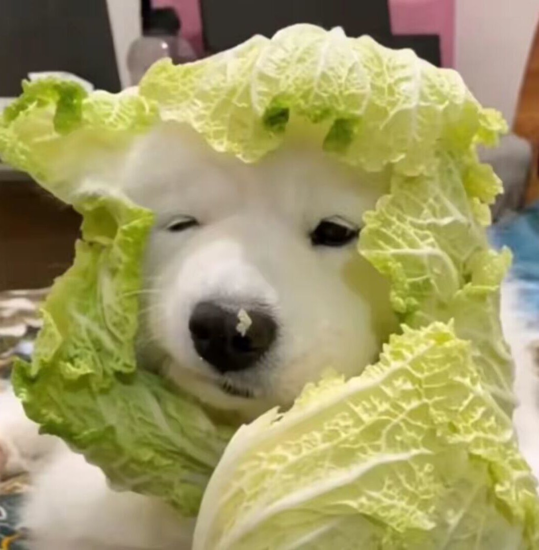 玩家1196716109090488320