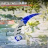 沙漠里迷失的骆驼