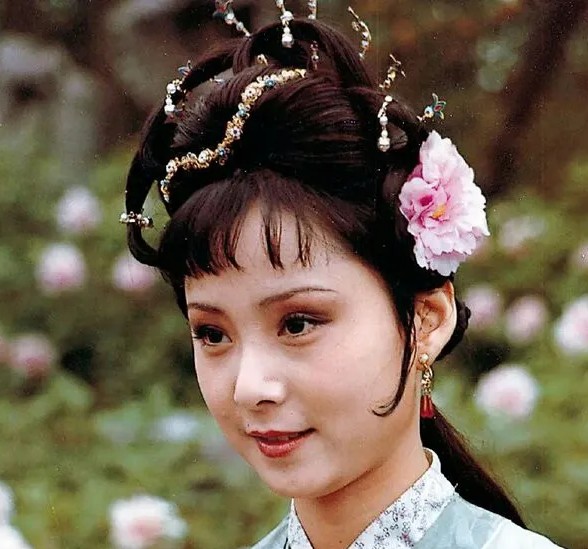 晴雯变卖家当养宝玉