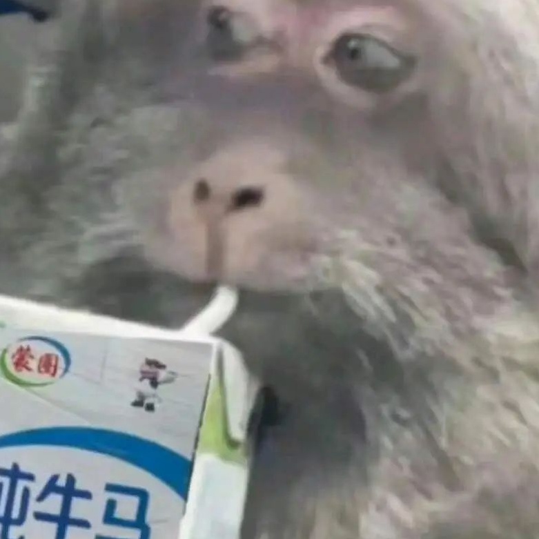 平江咩啊