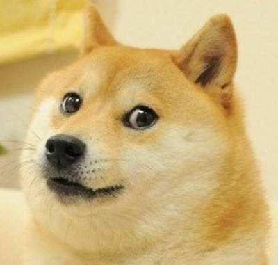 全村最好的狗