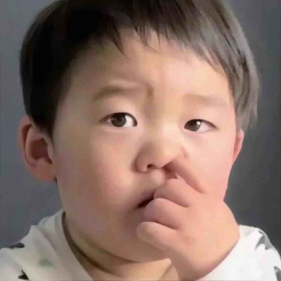 丶南辞丶