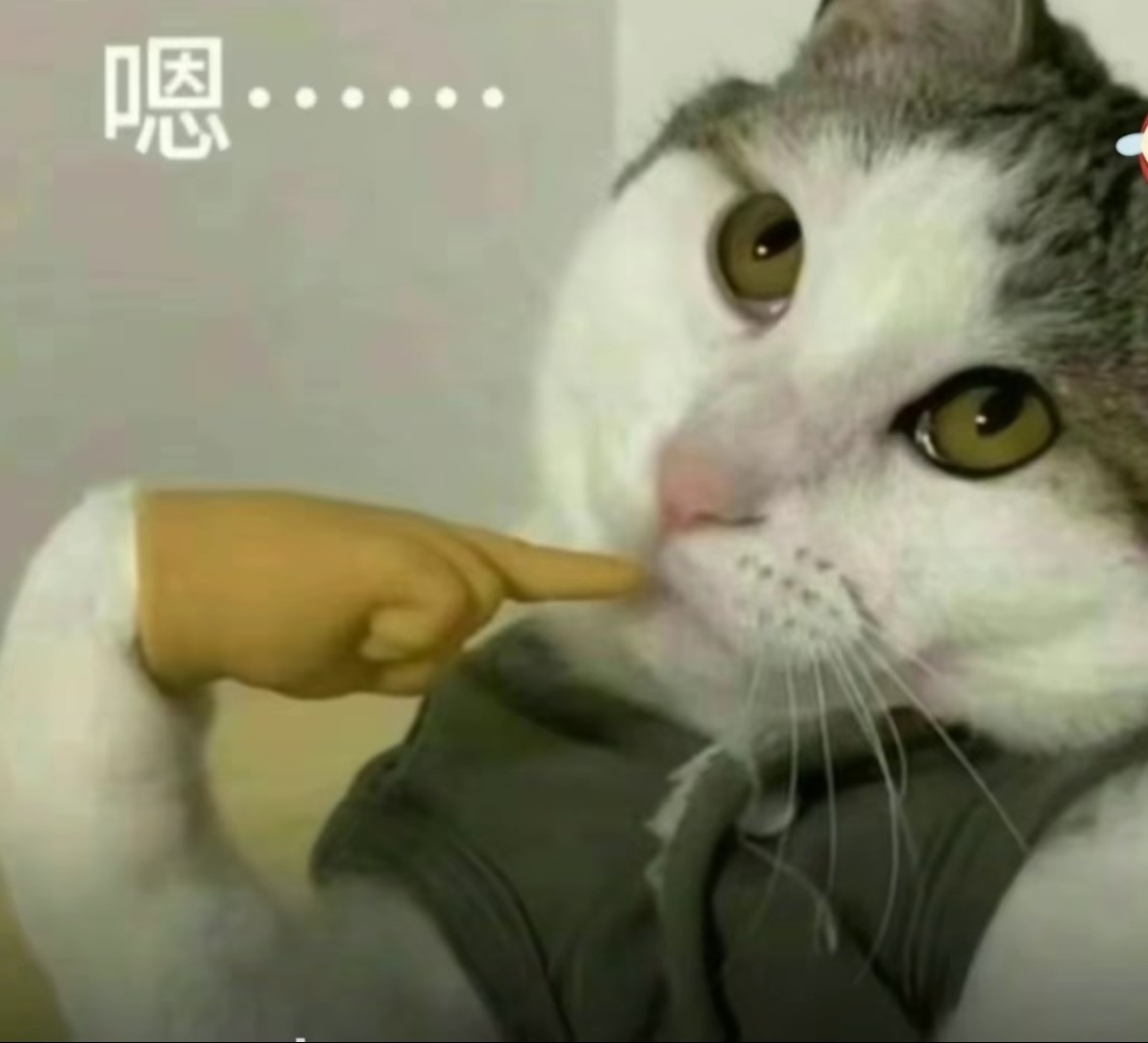 玩家1104576874760634368