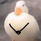 一天内发