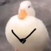一天内发