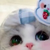 玩家1228152263699730432
