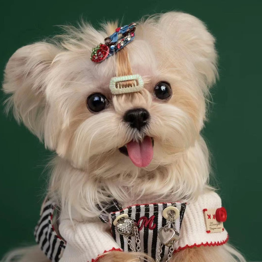 郭子仪的游戏道具