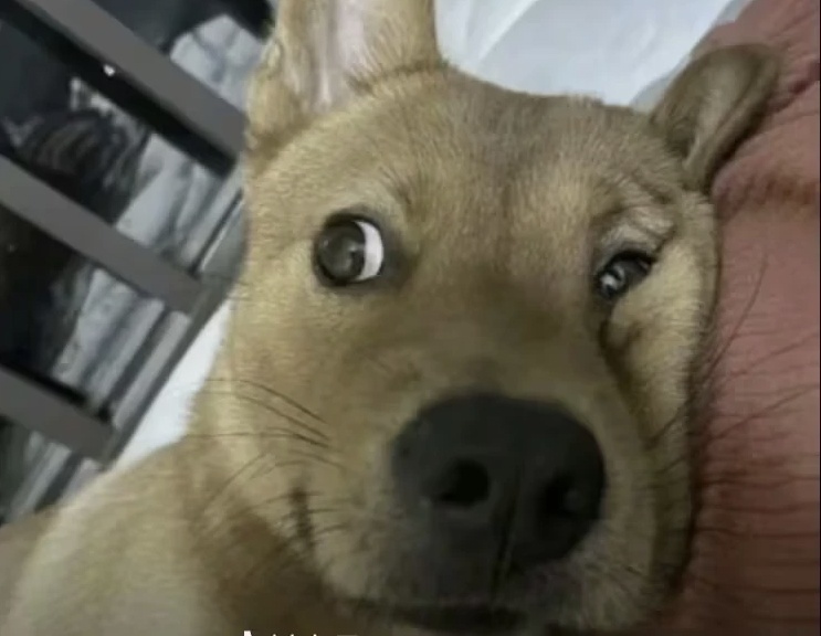 玩家1246366171664941056