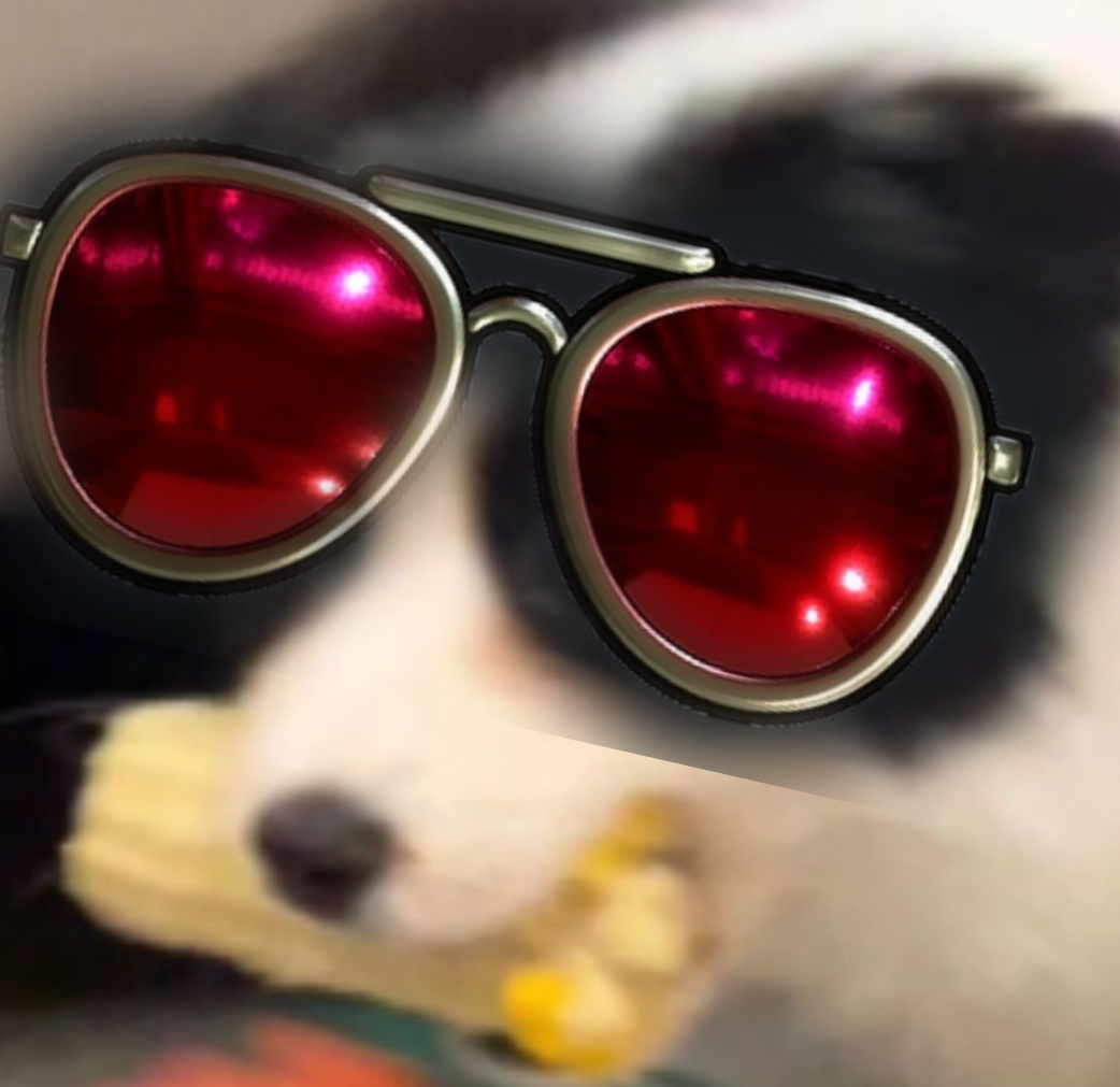 不再玩转盘