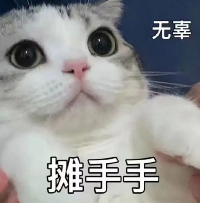 猫老师在线解答
