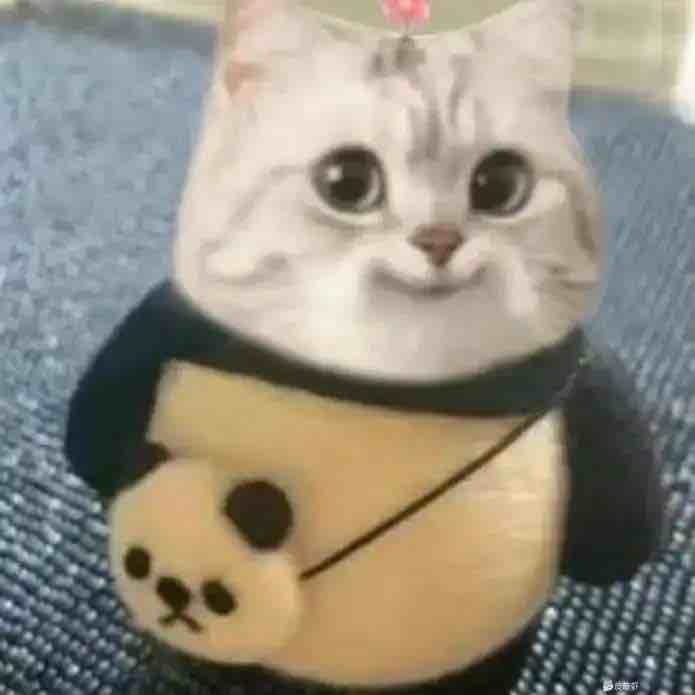 玩家1006076435116437504